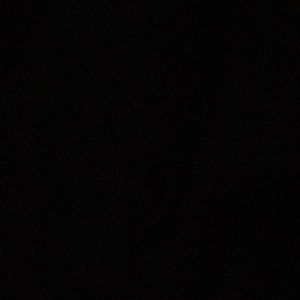 Meet your Posher, Dylan